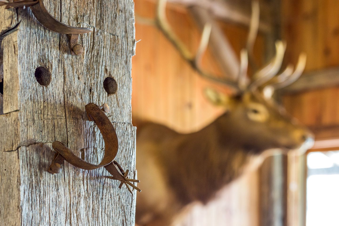 Glamping Cabin Rental for Groups on Lake Buchanan in Texas Hill Country