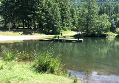 undefined photo 4