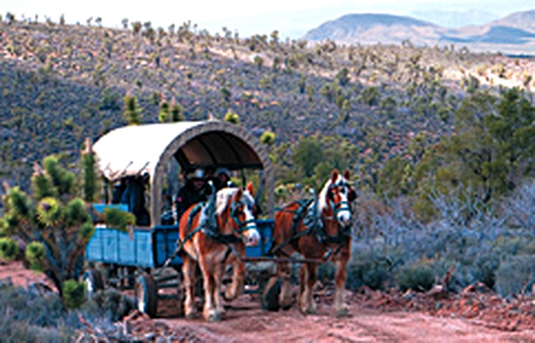 Cabins (Meadview, Arizona, United States)