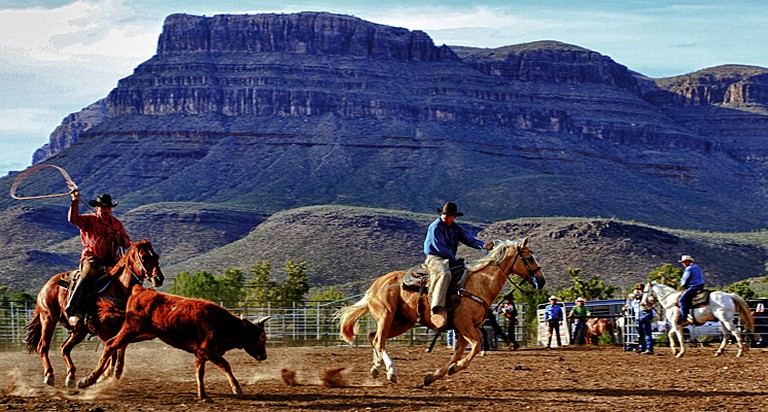 Glamping Grand Canyon: Cabins for rent in Meadview, Arizona