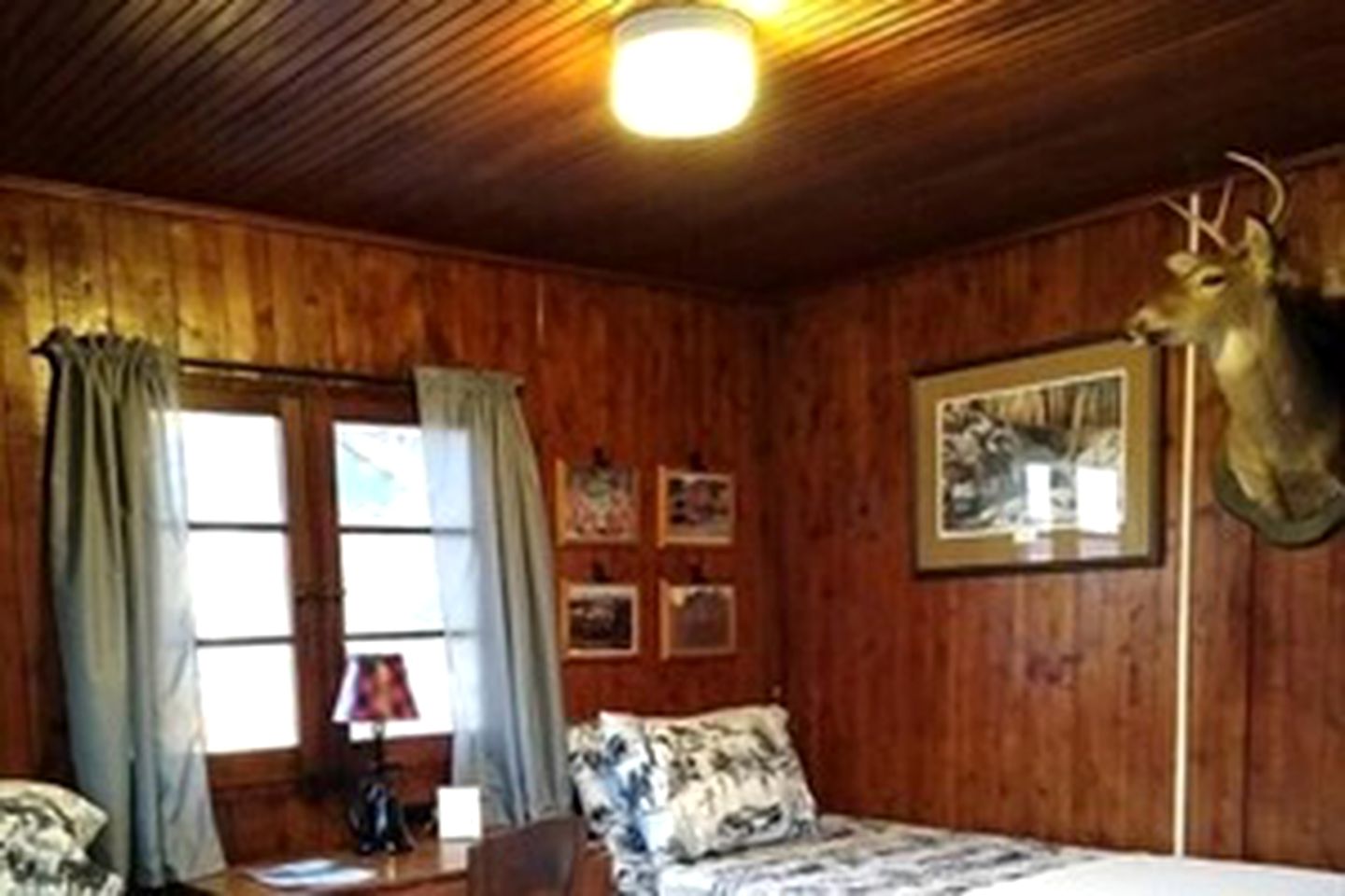 Glamping Cabins for Nature Enthusiasts in Cadillac, Michigan