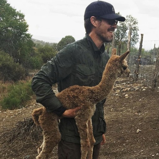 Cabins (United States of America, San Cristobal, New Mexico)