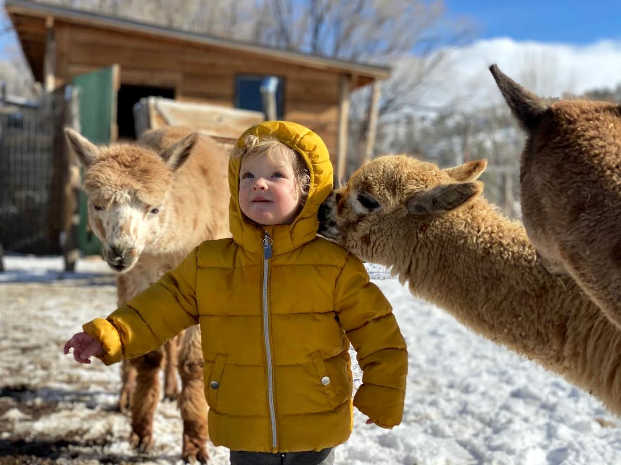 Artistic Garden Casita on Organic Farm in New Mexico