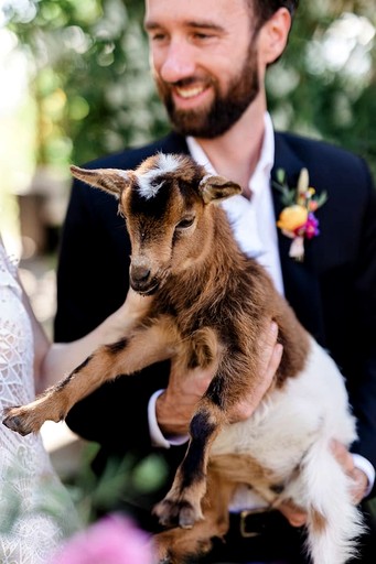 Cabins (United States of America, San Cristobal, New Mexico)