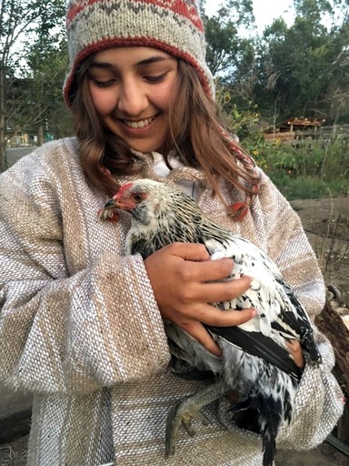 Cabins (United States of America, San Cristobal, New Mexico)