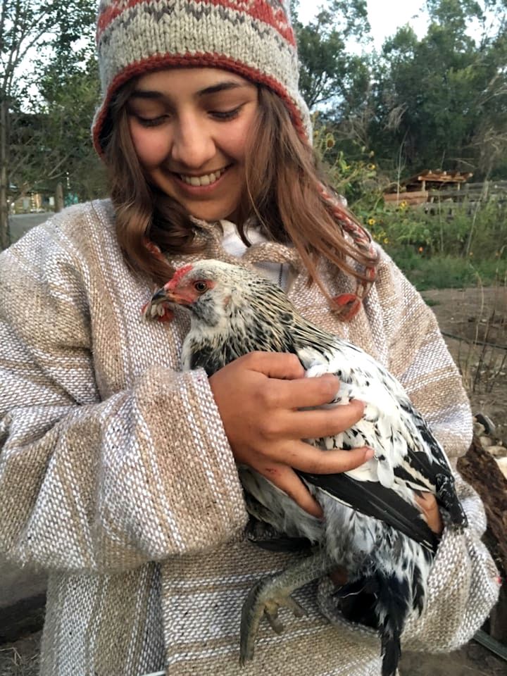 Artistic Garden Casita on Organic Farm in New Mexico
