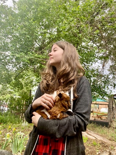 Cabins (United States of America, San Cristobal, New Mexico)