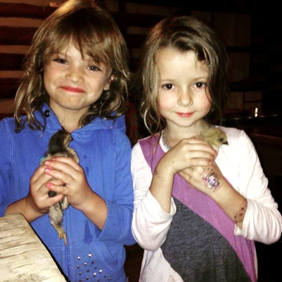 Artistic Garden Casita on Organic Farm in New Mexico