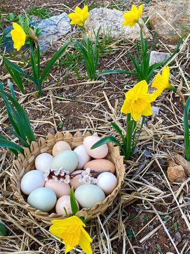 Cabins (United States of America, San Cristobal, New Mexico)