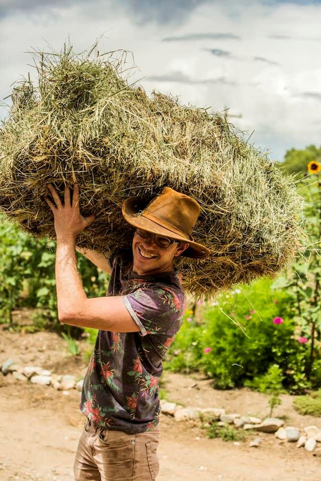 Artistic Garden Casita on Organic Farm in New Mexico