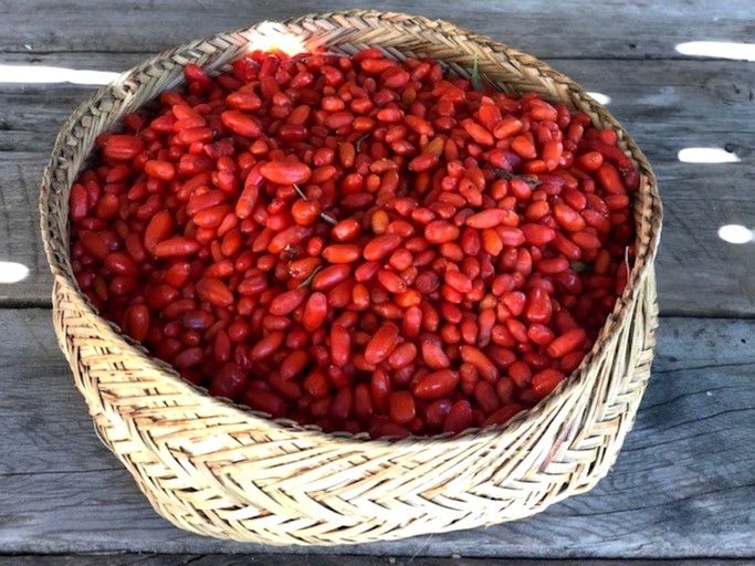 Cabins (United States of America, San Cristobal, New Mexico)