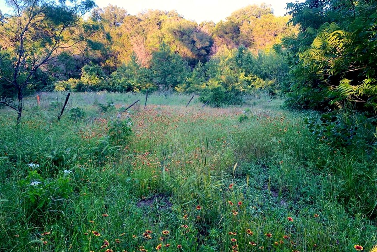Gorgeous Glamping Dome near Marble Falls for Couples Getaways, Texas