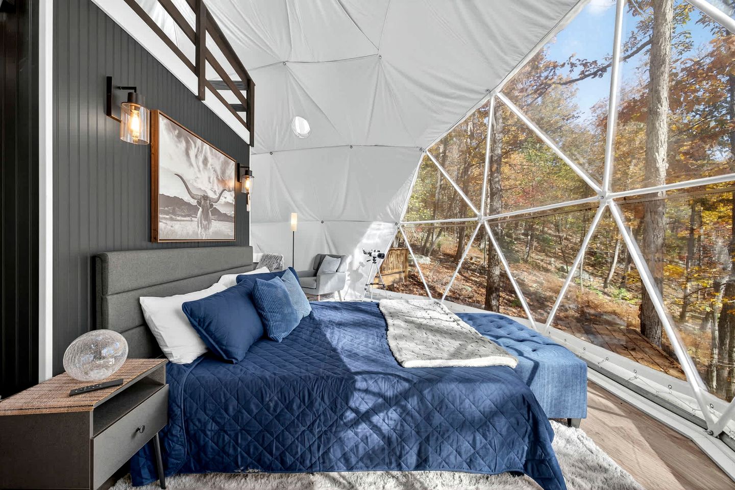 Luxe Stargazing Glamping Dome with Panoramic Views Near Lost River State Park, Wardensville WV