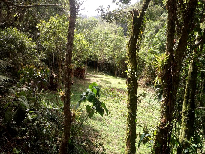 Bell Tents (Arcabuco, Boyacá, Colombia)