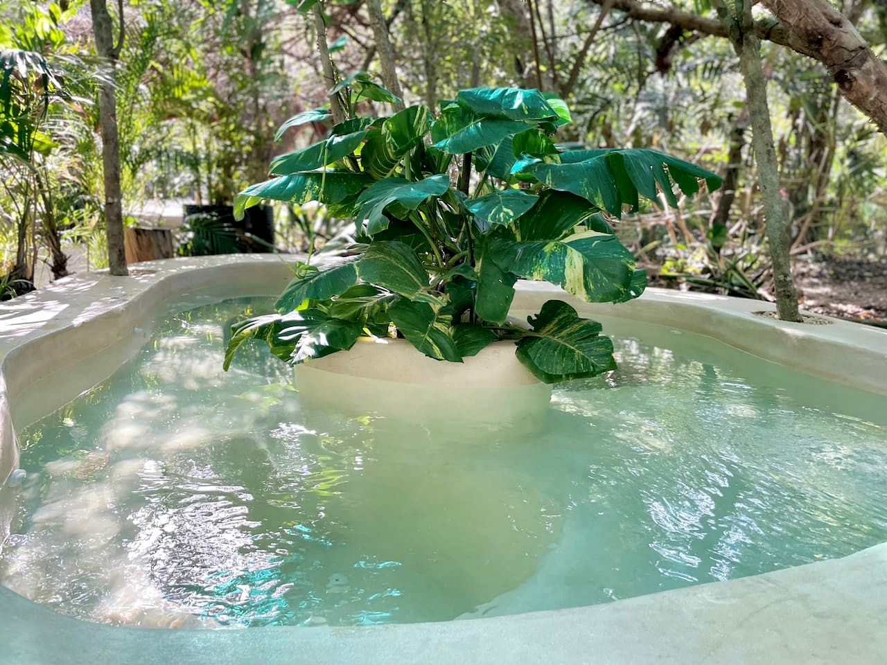 Glamping Getaway Domes for a Coastal Vacation in Tulum, Mexico