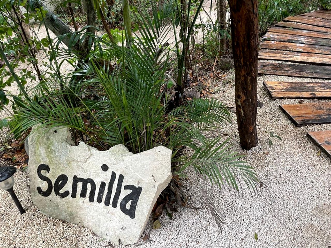 Glamping Getaway Domes for a Coastal Vacation in Tulum, Mexico
