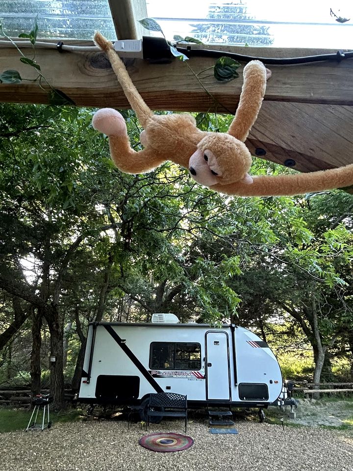 Unique Jungle-Style Glamping RV with 8-Foot Suspended Tree Tent near Creek Trails in Forestburg, Texas