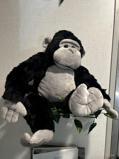 Vacation Rentals (United States of America, Forestburg, Texas)