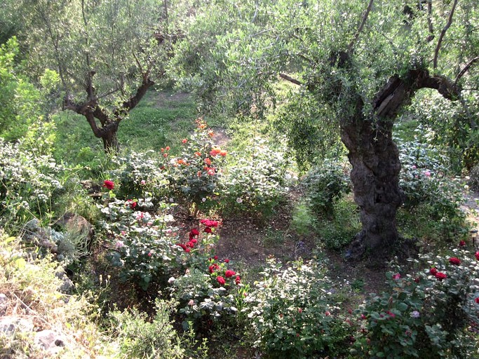 Yurts (Kalamata, Peloponnese, Greece)