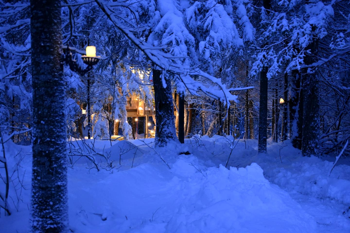 Cozy Treehouse with Sauna in Hardwick, VT