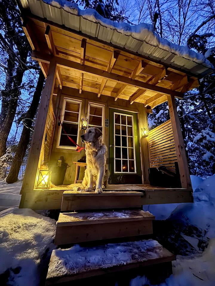 Cozy Treehouse with Sauna in Hardwick, VT