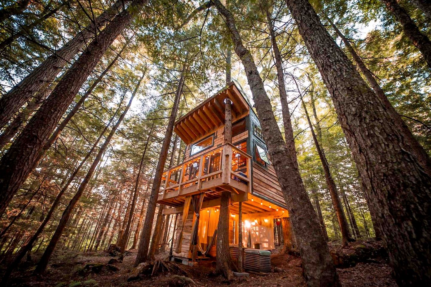 Tree Houses (United States of America, Hardwick, Vermont)