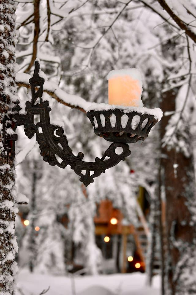 Cozy Treehouse with Sauna in Hardwick, VT