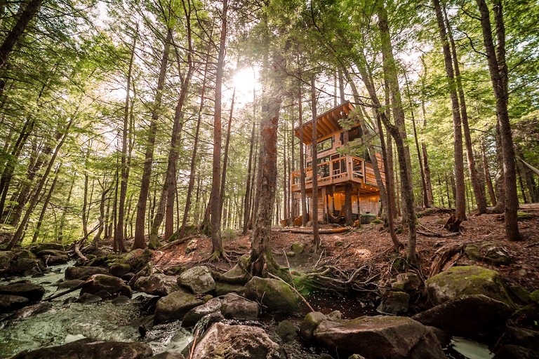 Tree Houses (United States of America, Hardwick, Vermont)