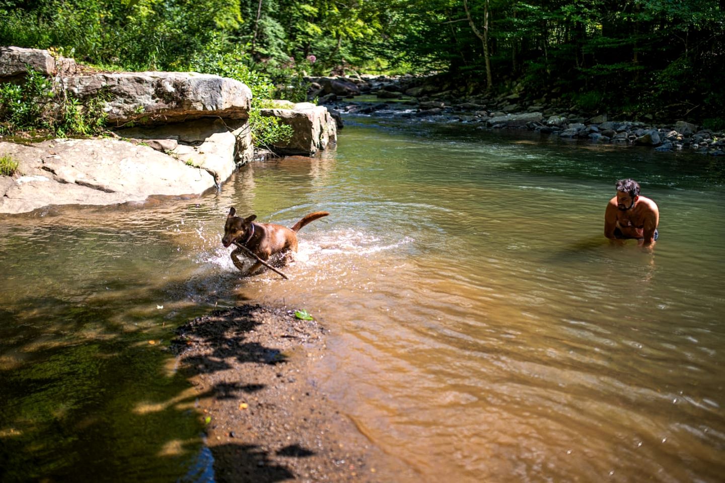Secluded Off-Grid A-Frame Cabin with Creek Access near Abrams Creek, West Virginia