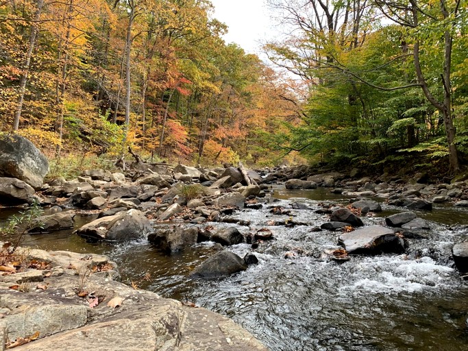 A-Frames (United States of America, Elk Garden, West Virginia)