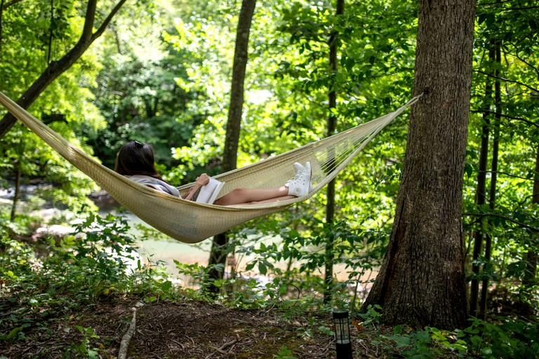 Cabins (United States of America, Elk Garden, West Virginia)