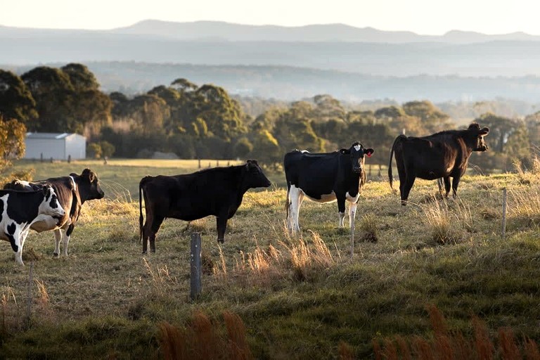 Tiny Houses (Australia, Shoalhaven , New South Wales)