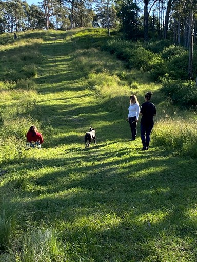 Tiny Houses (Australia, Shoalhaven , New South Wales)