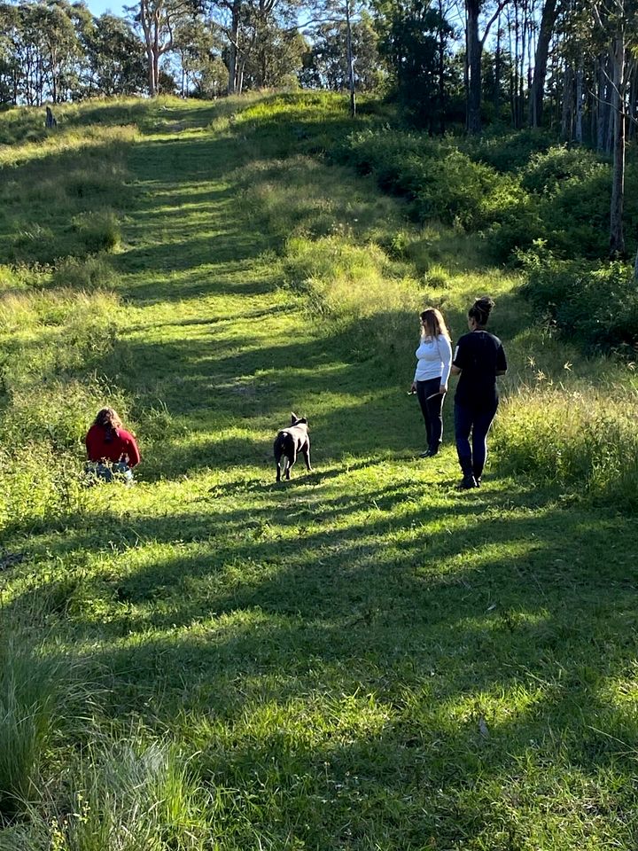 Serene Tiny House Rental Ideal for Glamping in NSW