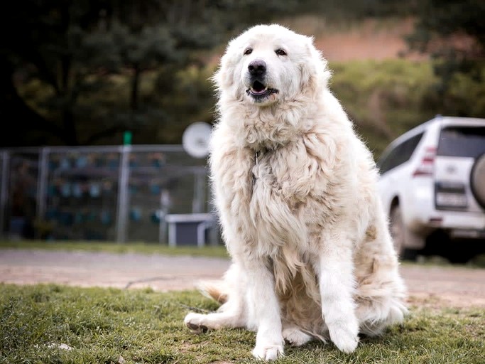 Tiny Houses (Australia, Shoalhaven , New South Wales)