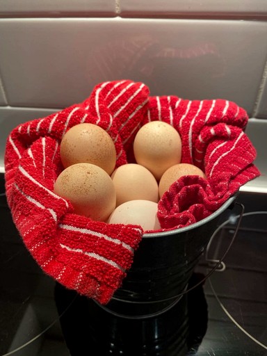 Tiny Houses (Australia, Shoalhaven , New South Wales)