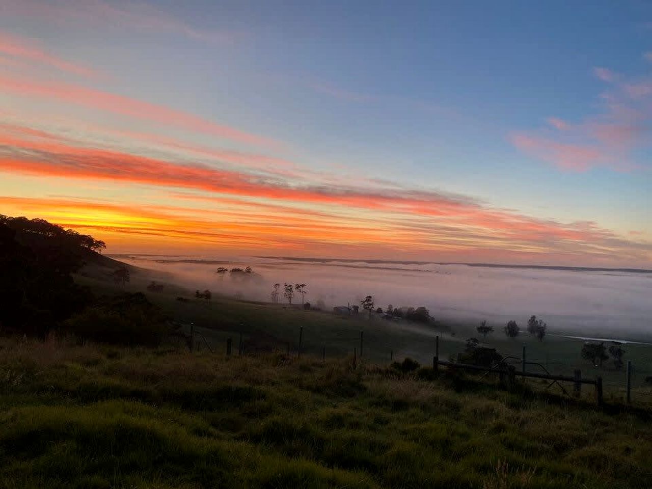 Serene Tiny House Rental Ideal for Glamping in NSW