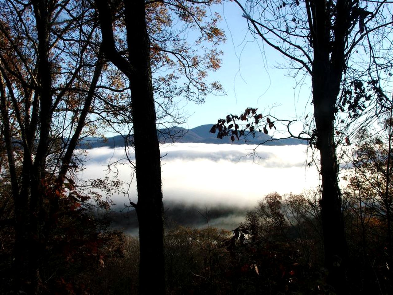 Secluded Log Cabin Getaway near Nantahala National Forest and Cheoah, North Carolina