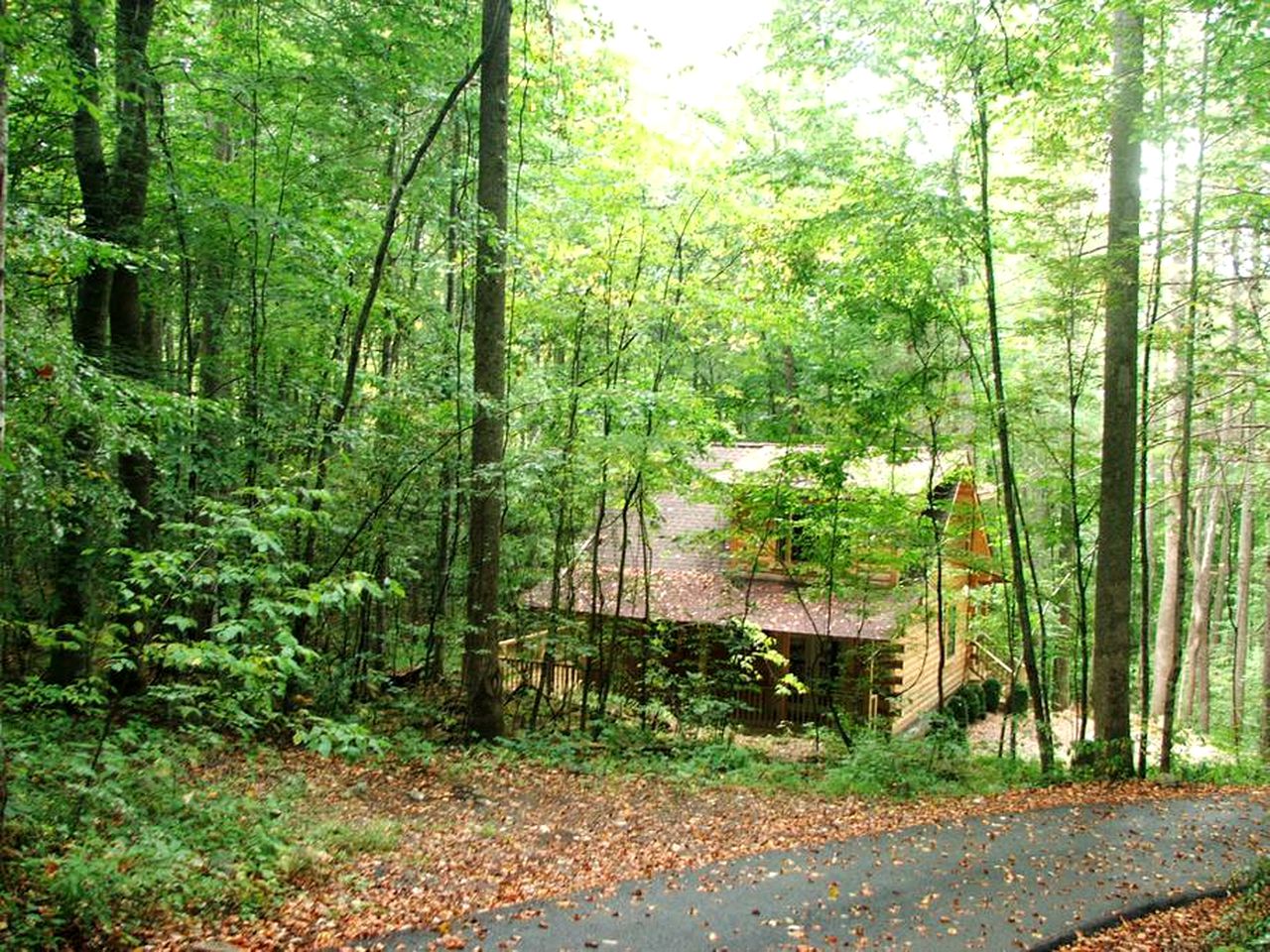 Secluded Log Cabin Getaway near Nantahala National Forest and Cheoah, North Carolina