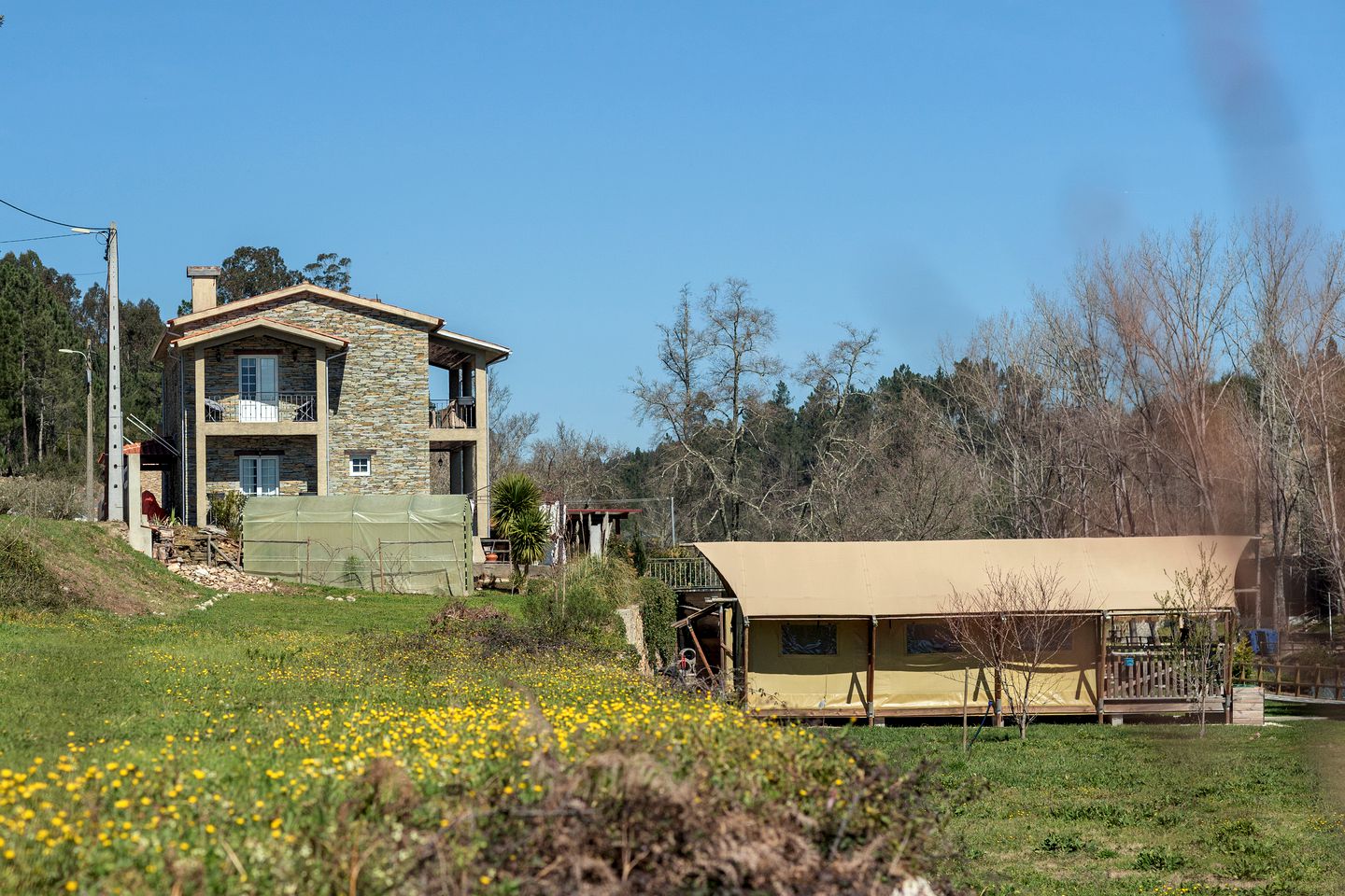 Nature's Embrace: Experience Luxury in a Safari Tent in Coimbra, Portugal