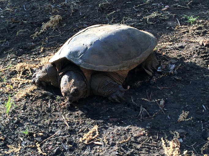 Private Islands (United States of America, Monmouth, Maine)
