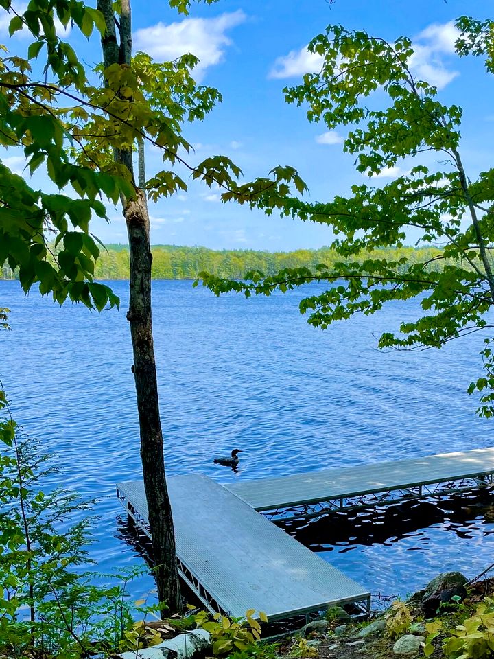 Glamping Oasis: Whole Island Vacation Rental on a Lake in Monmouth, Maine