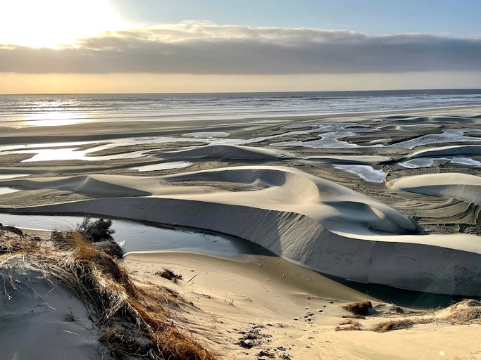 Caravans (United States of America, Waldport, Oregon)