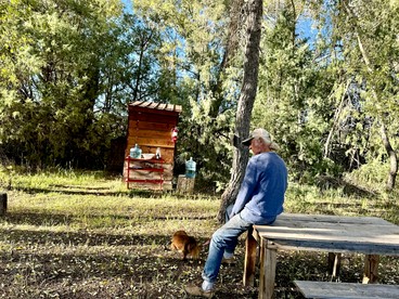 Superb Glamping Tipi on Organic Farm in the Sangre de Cristo Mountains, New Mexico photo 3