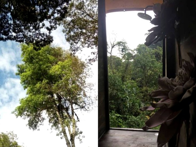 Tented Cabins (San Francisco de Sales, Capital District, Colombia)