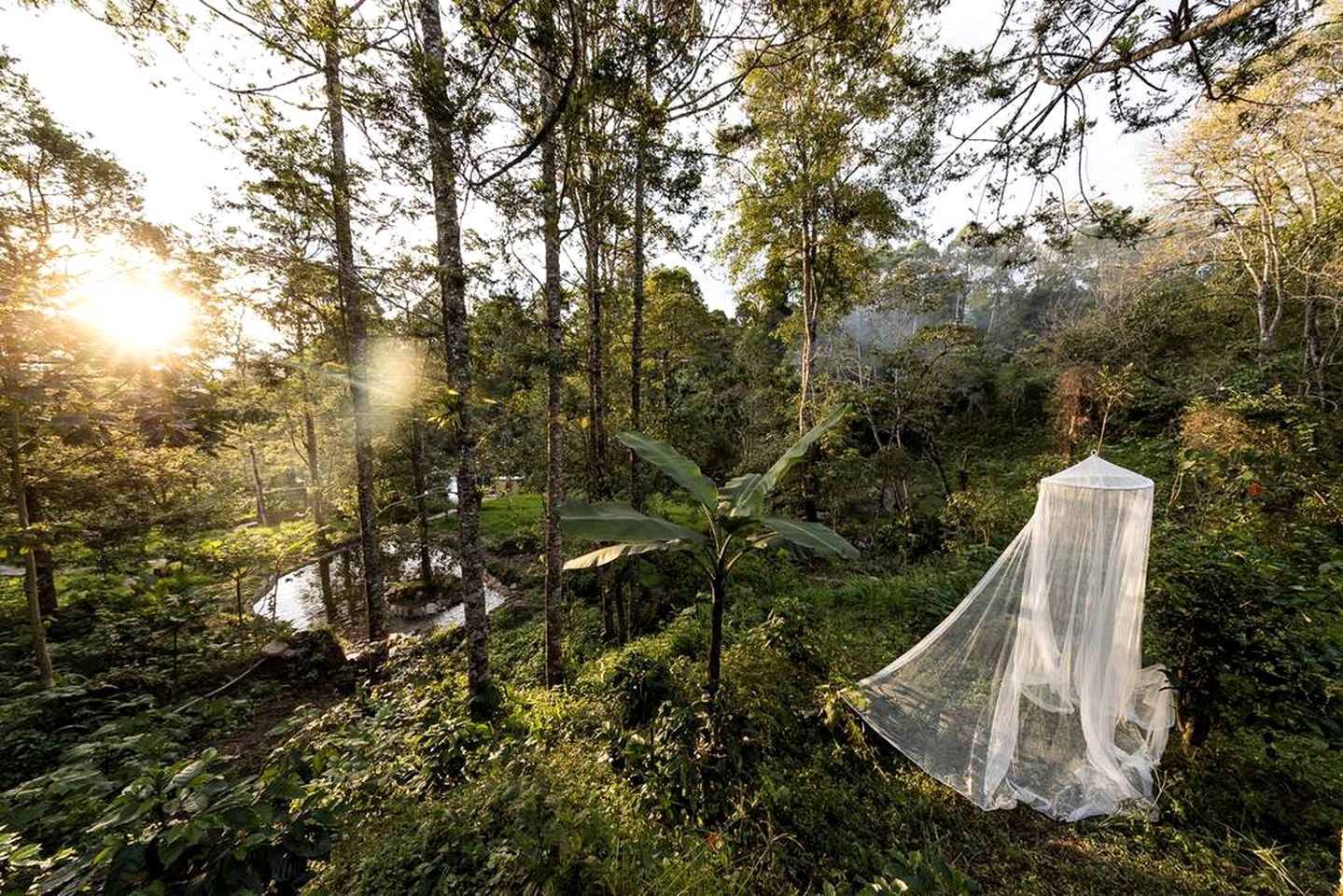 Glamping Tented Cabin for a Romantic Weekend Getaway from Bogotá, Colombia