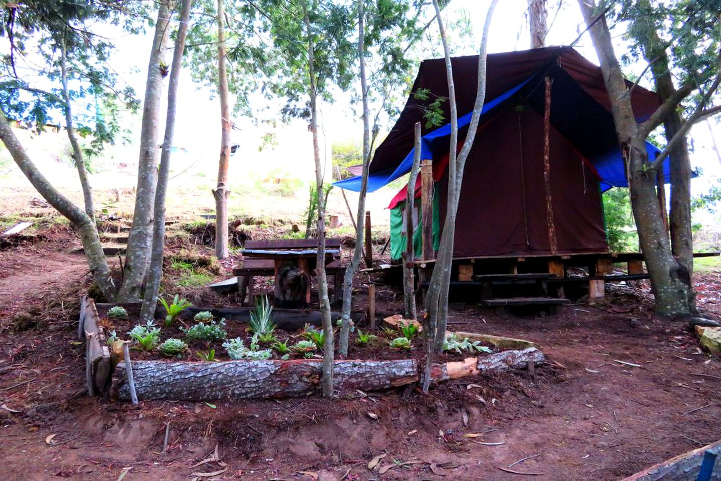 Luxury Camping Tent in a Forested Setting in Cundinamarca, Colombia