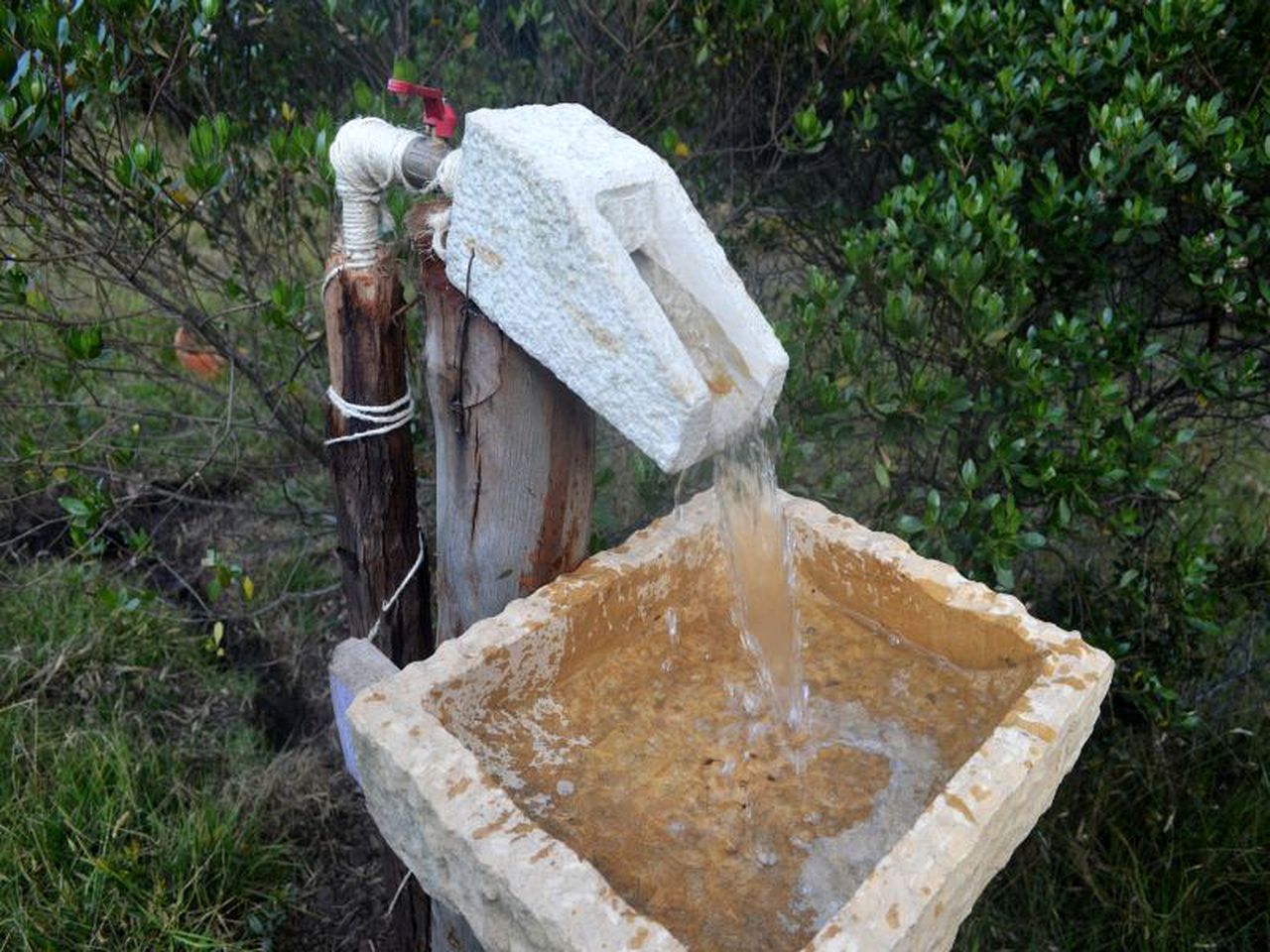 Luxury Camping Tent in a Forested Setting in Cundinamarca, Colombia