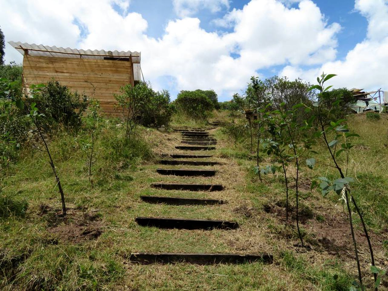 Luxury Camping Tent in a Forested Setting in Cundinamarca, Colombia