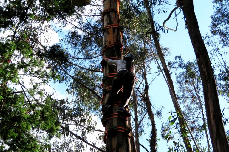 Safari Tents (Guasca, Cundinamarca, Colombia)